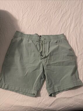 Billabong Mint Green Stretch Shorts